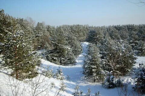 Бийск аб