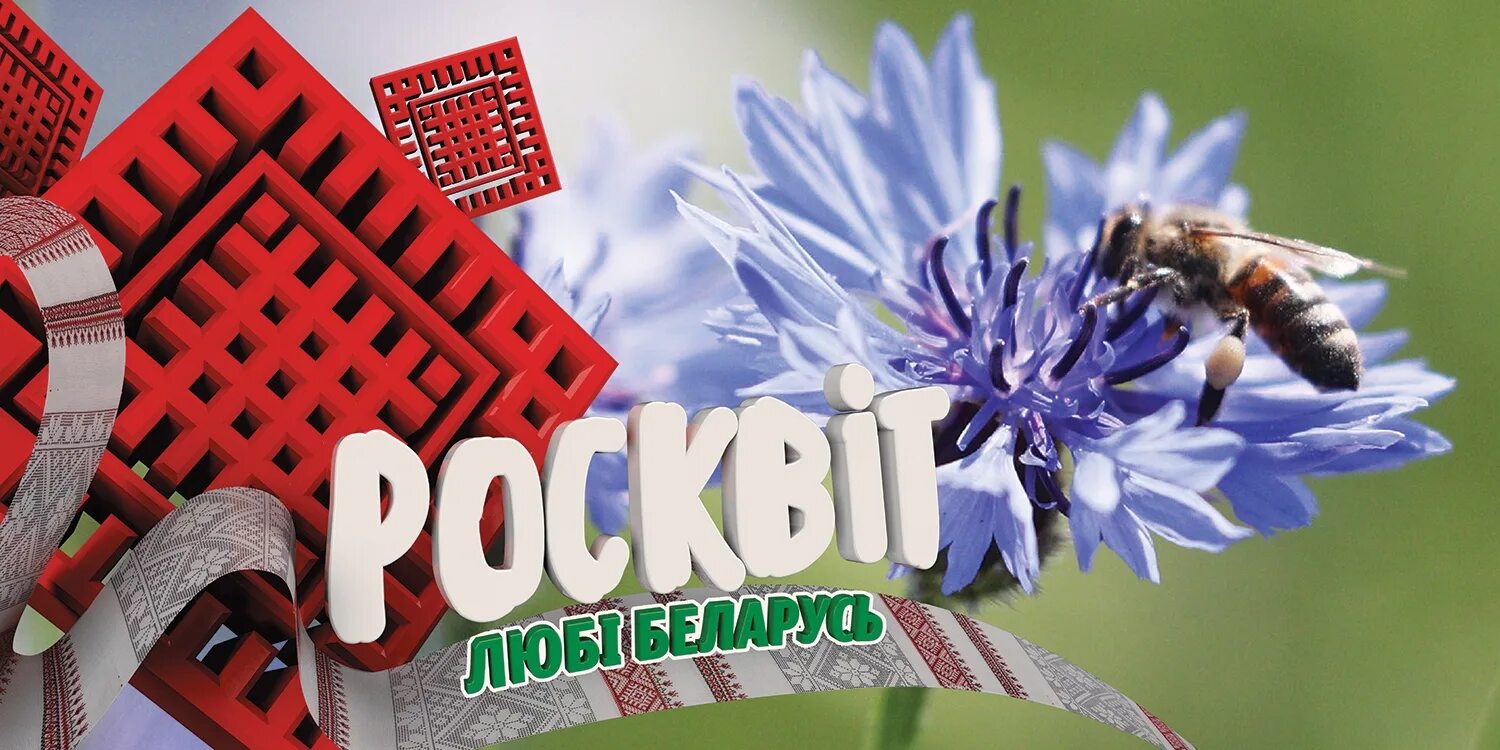 Плакаты рб. Люблю беларусь. люблю беларусь фото. социальные плакаты в беларуси. социальные плакаты белорусские.