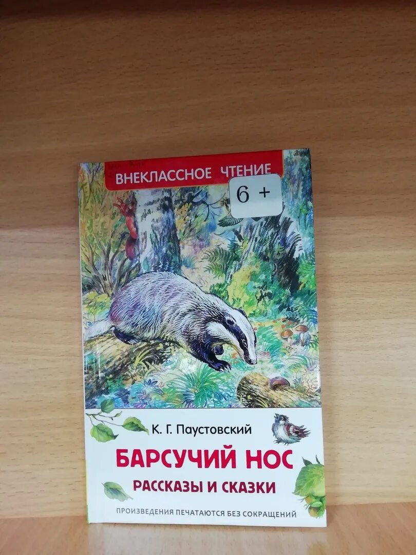 Рассказ паустовского барсучий нос читать