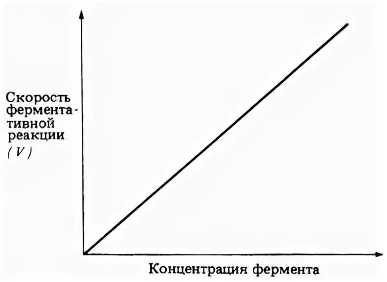 График зависимости субстрата от фермента. Зависимость скорости ферментативной реакции от концентрации. скорость реакции - концентрация фермента.