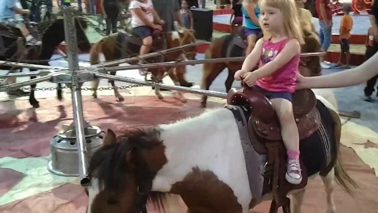 Lets do it ride it my pony. Ride a pony. girl crush pony ride. pony riding fun. funny ride фиолетовый.