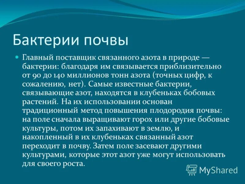 Значение почвенных бактерий. Почвенные бактерии. Сообщение о почве ных бактерий. Почвенные бактерии гниения. Почвенные бактерии доклад.