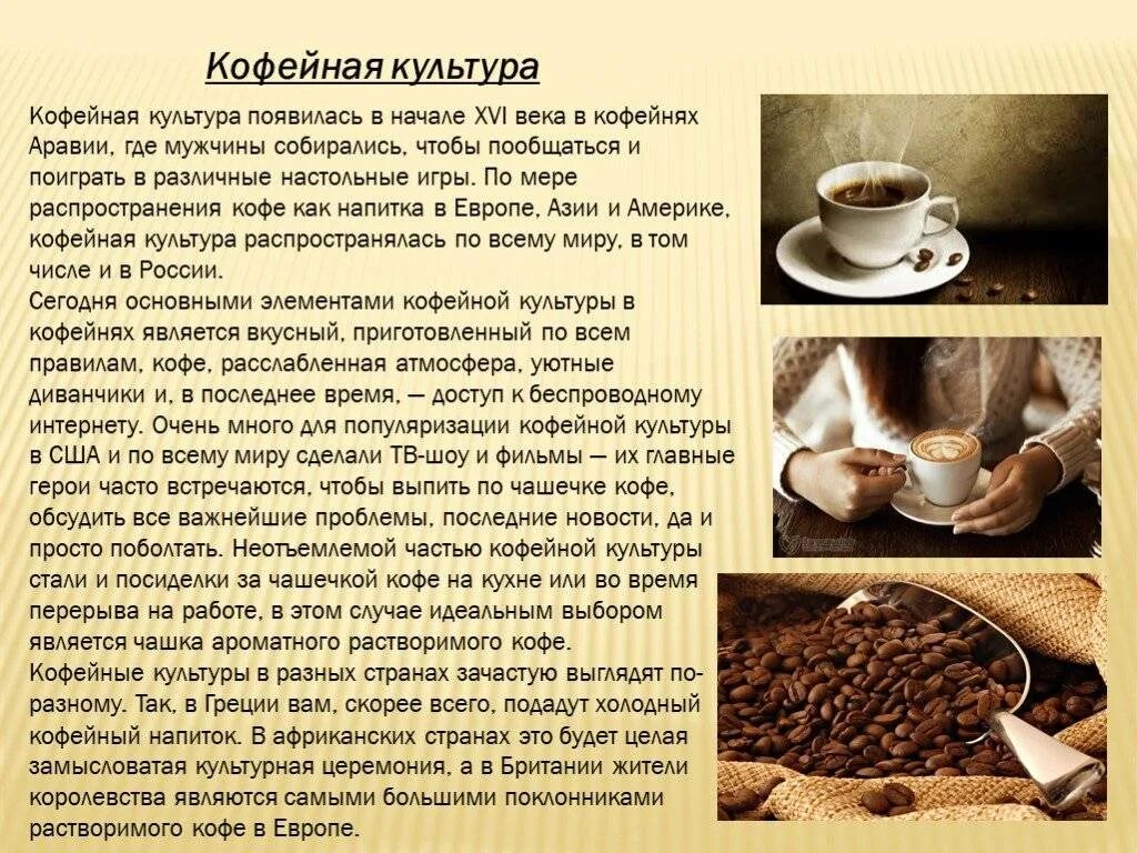 Проект 9 класс на тему кофе Проект на тему кофе вред или польза по биологии 10 класс
