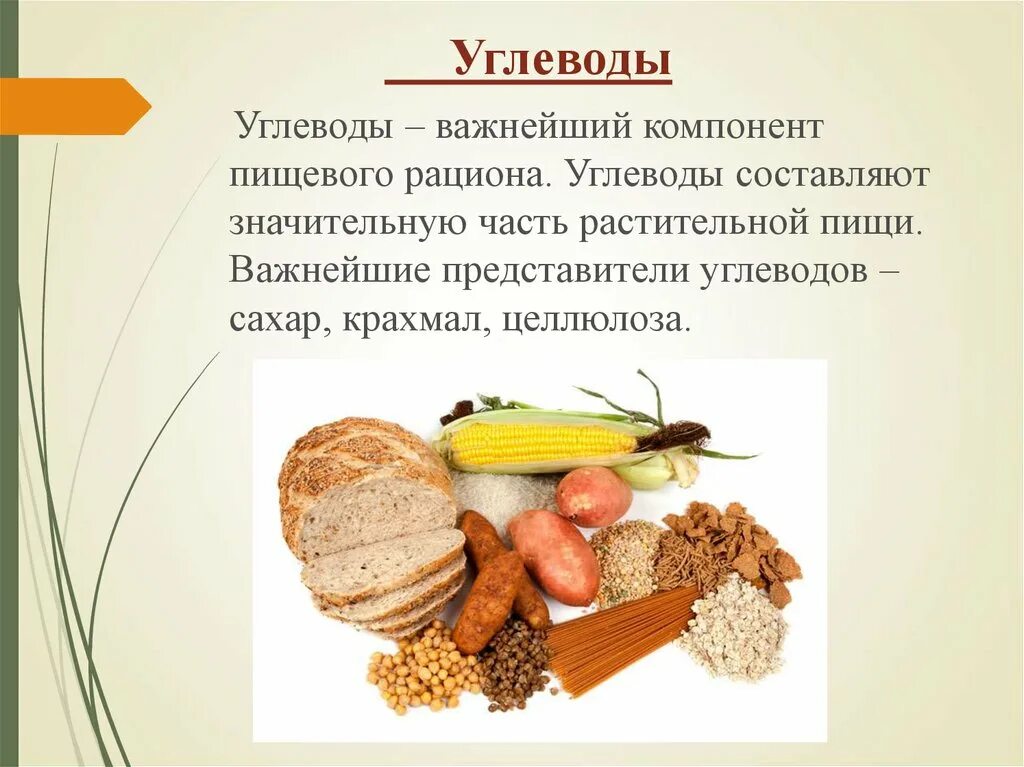 Полезные углеводы это. Углеводы 5 класс технология. Представители углеводов. Углеводы в питании. «Физиология питания» технология.