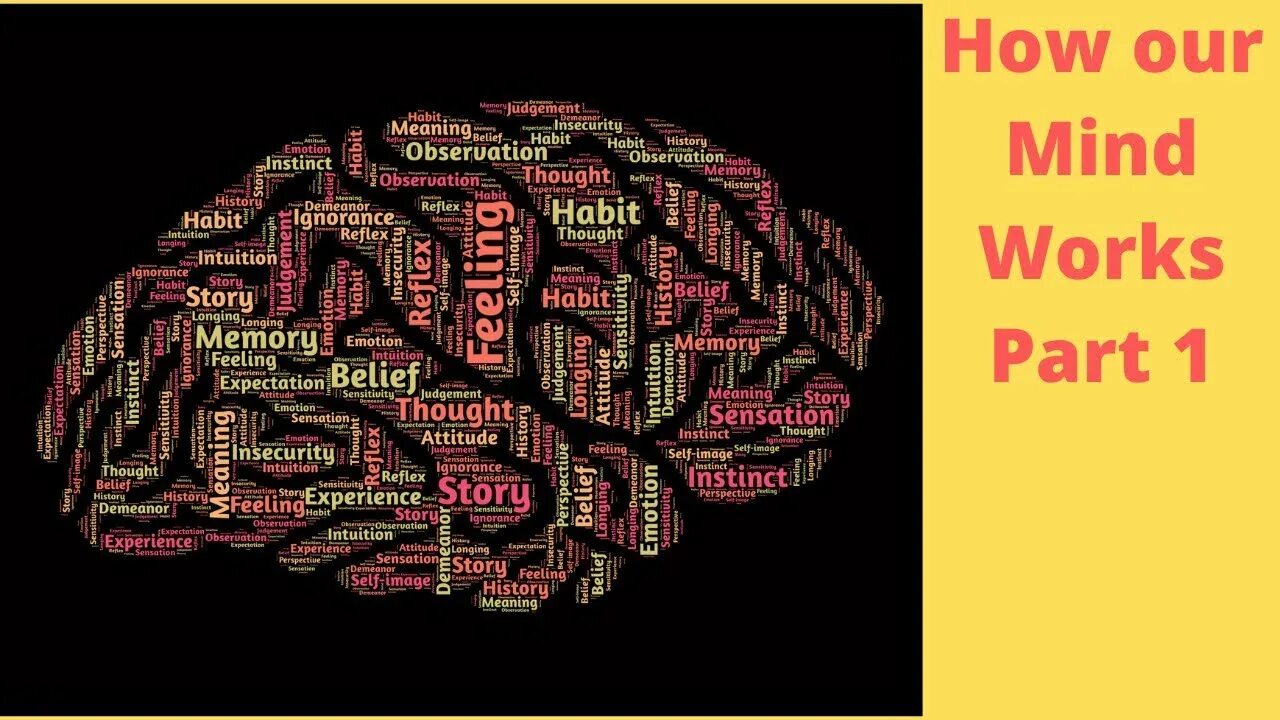 Нейромаркетинг 2022. Richard watson (author). Книга мозг. How our minds. Visual social cognition.