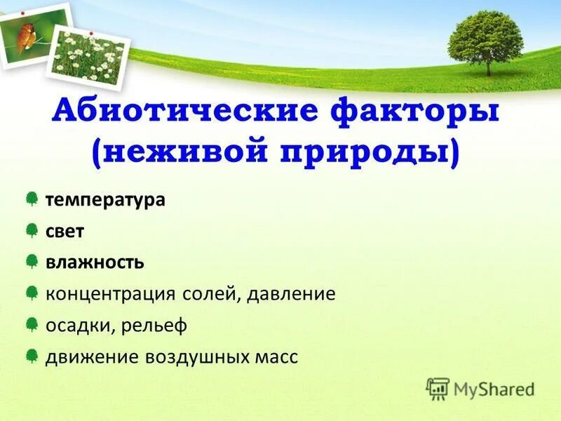 Определи факторы неживой природы выбери. Факторы неживой природы свет. Абиотические факторы неживой природы. Абиотические факторы природы. Факторы неживой природы примеры.