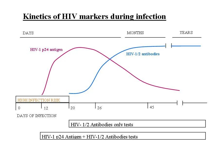 P24 вич 2. P24 антиген ВИЧ. График антигена p24. Точность антиген p24. Антиген p24 0,06.