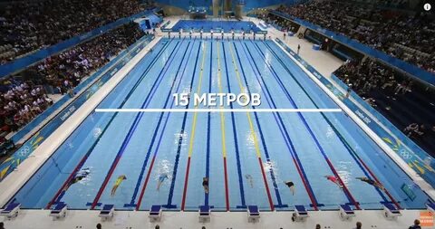 Проплыть 300 метров