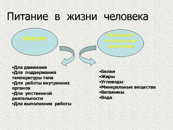 Дополни схему значение питания Какова роль питания в обмене веществ: найдено 90 изображений