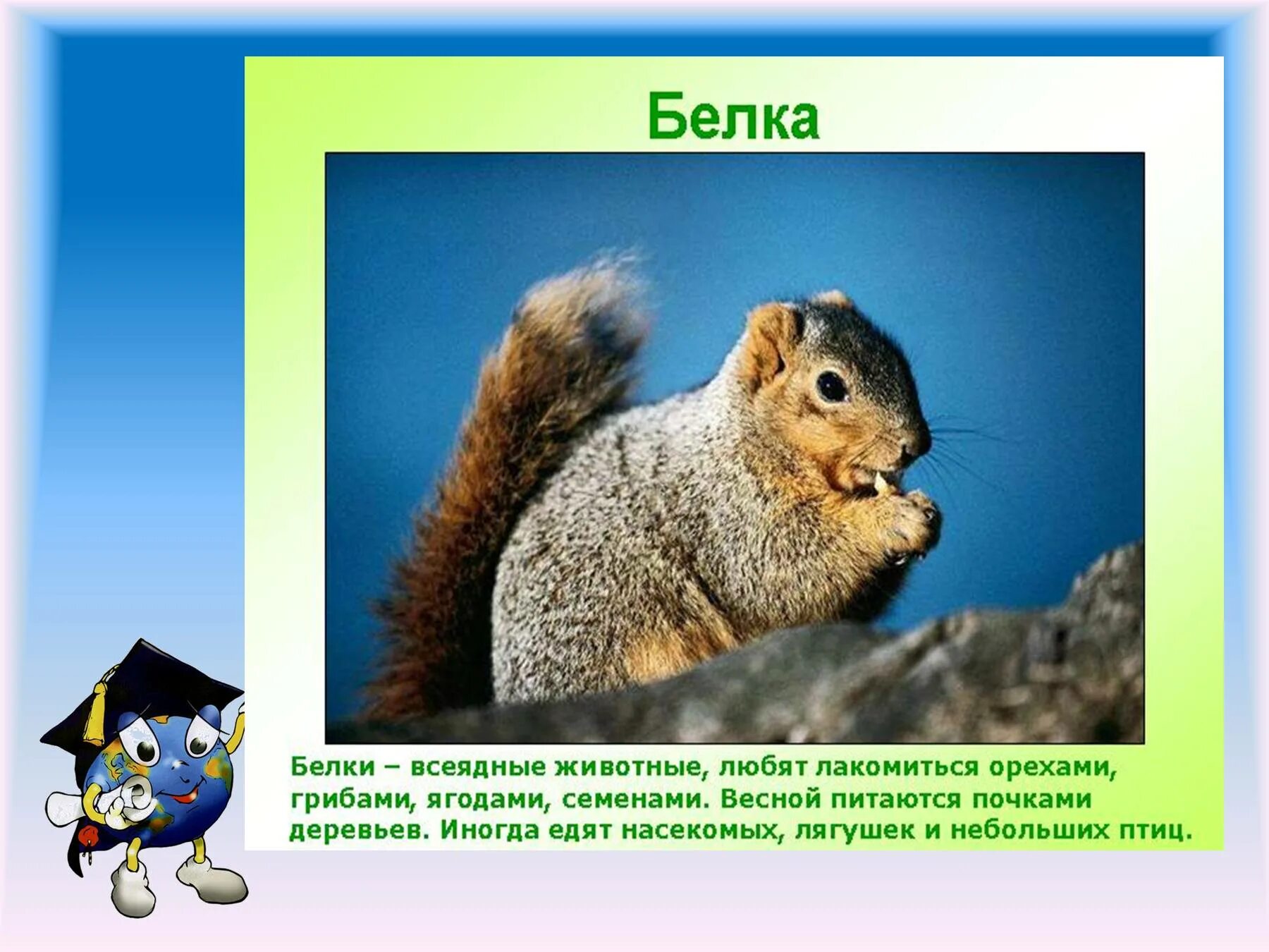 Как живут животные 1 класс конспект урока. Как живут животные. Как живут животные презентация. Как живут животные 1 класс конспект урока. Как живут животные.