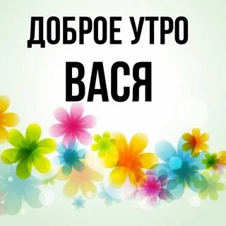 Утром вася