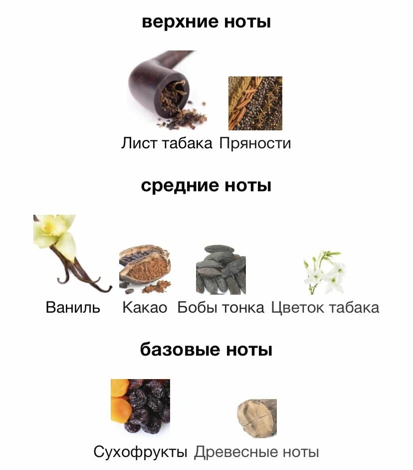 Нота бобов тонка. Пирамида аромата табак и ваниль. Том Форд табак ваниль пирамида. Tom Ford табак ваниль Ноты. Древесные Ноты.