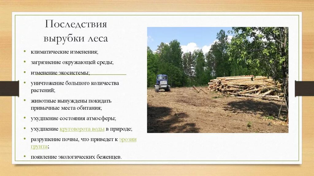 Гибель и вырубка лесов как экологическая проблема. Назовите последствия вырубки лесов. Проблема вырубки лесов причины. Последствия вырубки леса. Массовая вырубка леса.