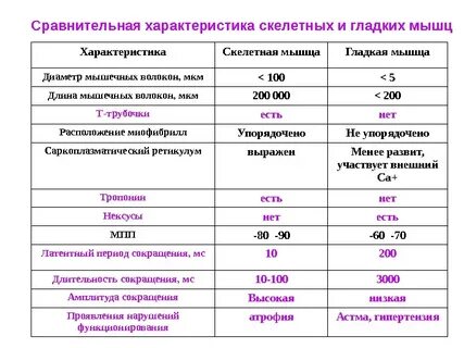 Сравнительная характеристика мышечных тканей таблица