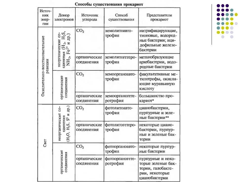 основные группы бактерий таблица. типы бактерий таблица. бактерии по типу питания таблица. морфологические формы бактерий таблица. морфологические формы микроорганизмов бациллы.