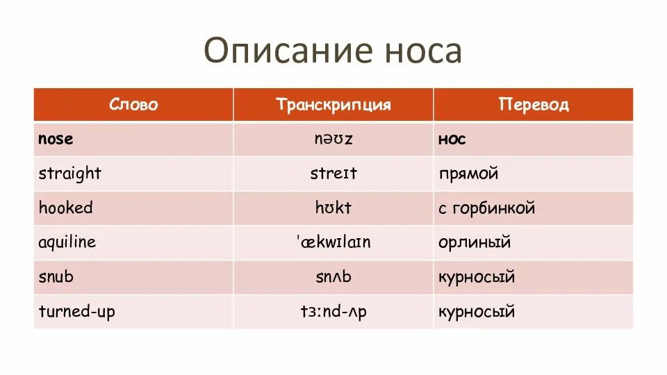 Картинки впр 7 класс английский язык. План ВПР по английскому. Описание по английскому языку 7 класс. План по описанию картинки по английскому языку 7 класс ВПР. План описания картинки по английскому языку 7 класс ВПР.