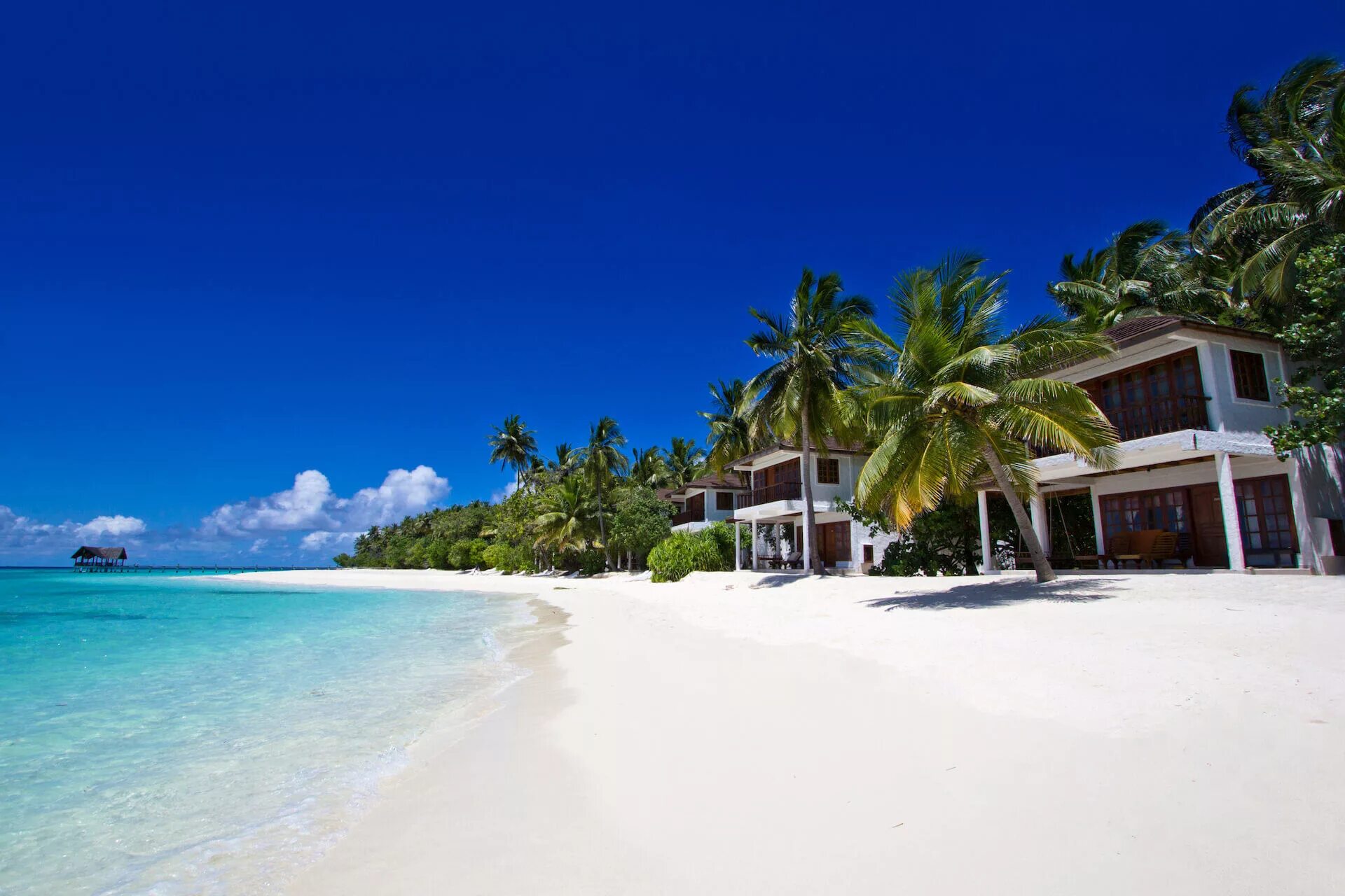 Палм Бич Мальдивы. Palm Beach Resort & Spa. Palm Beach Resort & Spa Maldives 4*. The Palms Мальдивы. Island beach 2