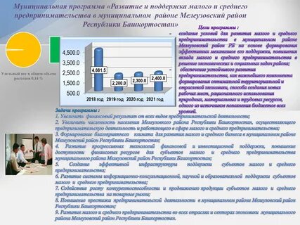 Государственные программы поддержки малого и среднего бизнеса