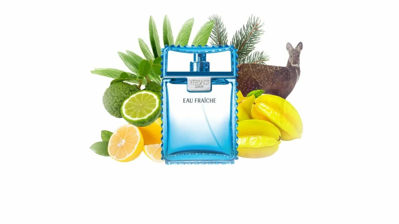 Fraiche ru. Versace man Eau Fraiche 100 ml. Версаче Eau Fraiche man. Versace man Eau Fraiche. Реклама Versace man Eau Fraiche 100 ml.