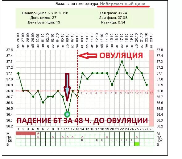 Овуляция цикл 27. Измерение базальной температуры для определения овуляции график. График базальной температуры при овуляции с пояснениями. Графики базальной температуры при овуляции. График БТ при овуляции.