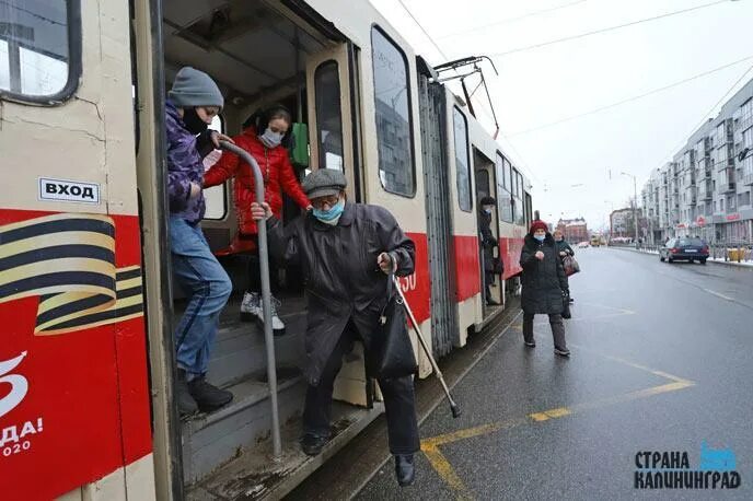 Клопс Калининград новости ковид19 в Гусеве. Пенсионерский движ.