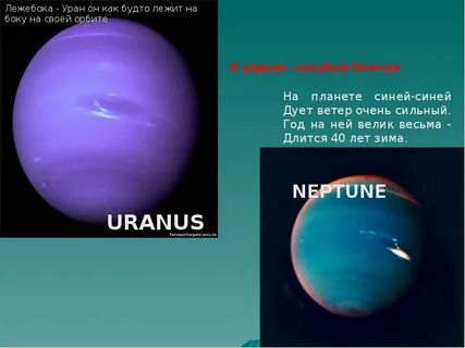 Нептун длительность года
