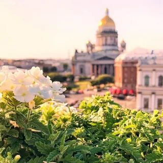 Какое лето будет в санкт петербурге