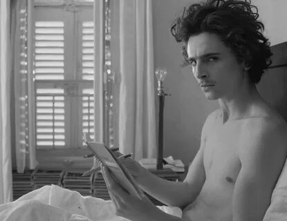 1 reply. timothée chalamet as zeffirelli in the french dispatch (2021) dir....
