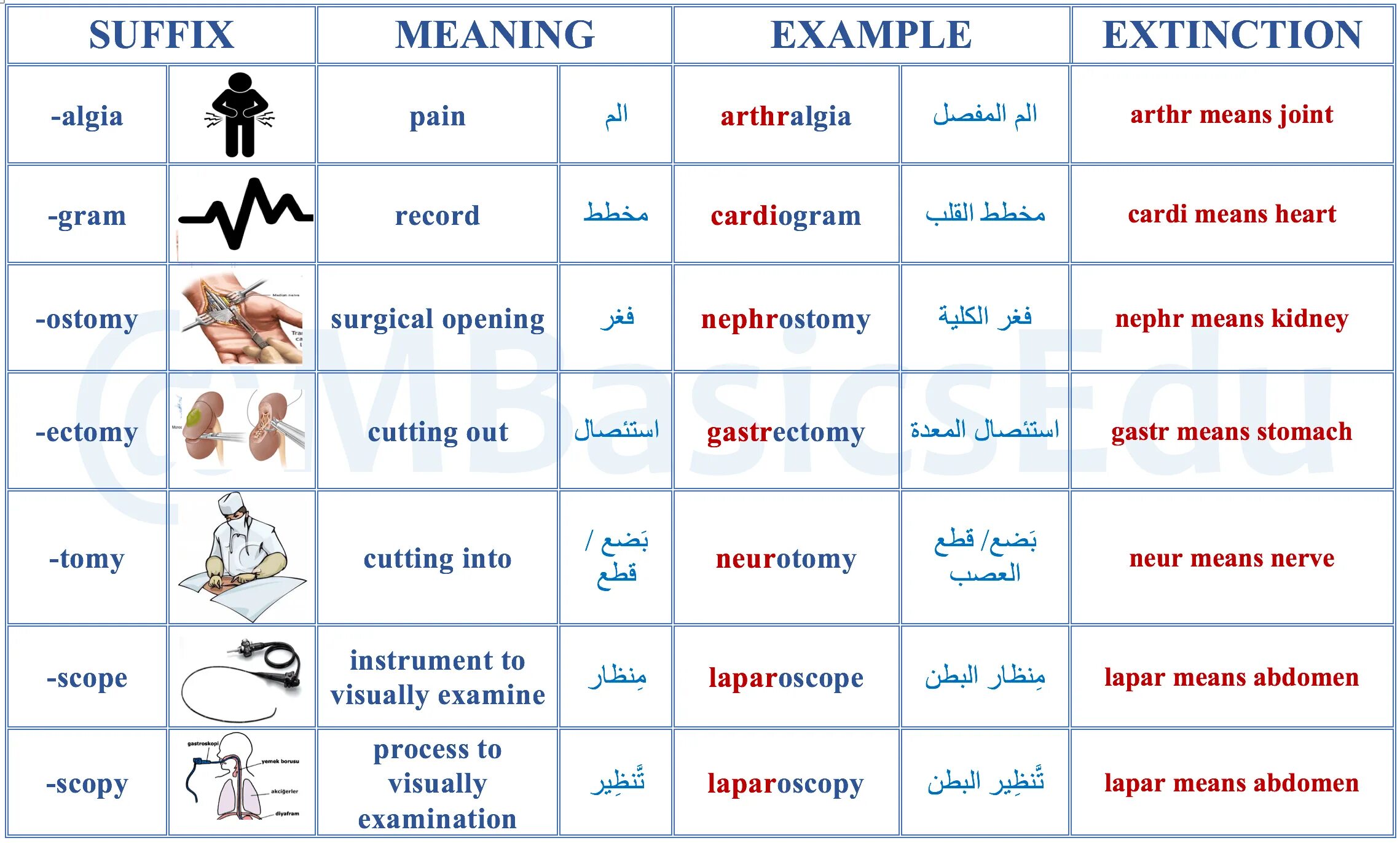 Suffixes meaning. Suffixes. Prefixes suffixes in Medical terms. Medical suffixes Generals. Medical terms in English.