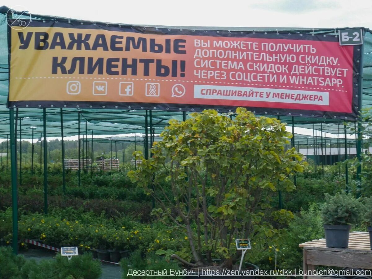 Питомник редких растений. Питомник растений. вывеска питомник растений. питомник растений в балашихе. питомник растений в чехове.