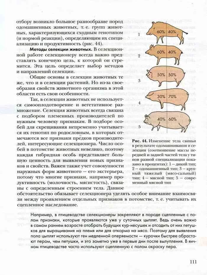 Биология 9 класс учебник чернова. Учебник по биологии 9 класс Пономарева Корнилова Чернова. Класс учебник биология 9 пономарёва Корнилова. Биология. 9 Класс. Учебник - Пономарева, Чернова, Корнилова. Учебник 9 класс биология Пономарева Чернова.