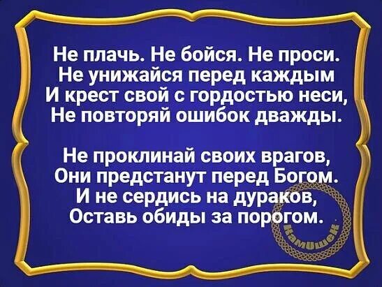 Не бойся не проси откуда фраза. Книга не верь не бойся не проси. Не верь не бойся не проси волк. Поговорка не бойся не проси. Не верь не бойся не проси цитаты.