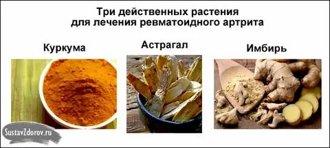 Лечение ревматоидного артрита народными средствами