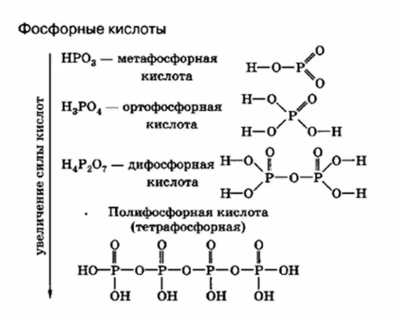 Строение кислот фосфора. Структурная формула фосфорной кислоты. Кислоты с фосфором формулы. Структурные формулы кислот фосфора