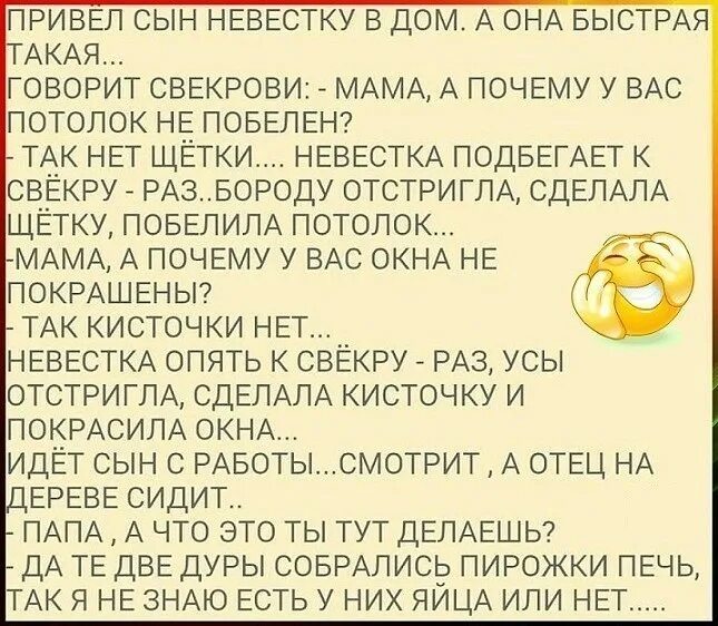 Сказала свекрови все что думает. Анекдот про невестку и сына. Анекдот про невестку и дочь. Анекдот про сноху и сына. Анекдот привел сын невестку в дом.