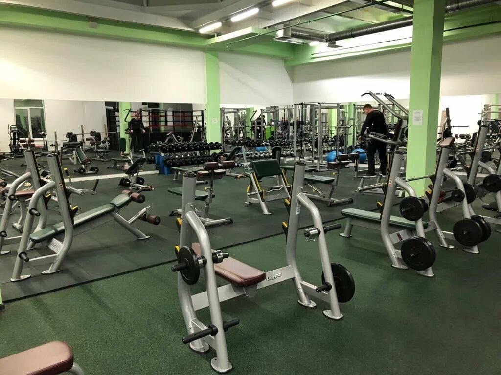 Спарта фитнес клуб спб. Фитнес спарта первомайская. спарта череповец тренажерный зал. спарта на водопьянова красноярск. спарта фитнес балаково.