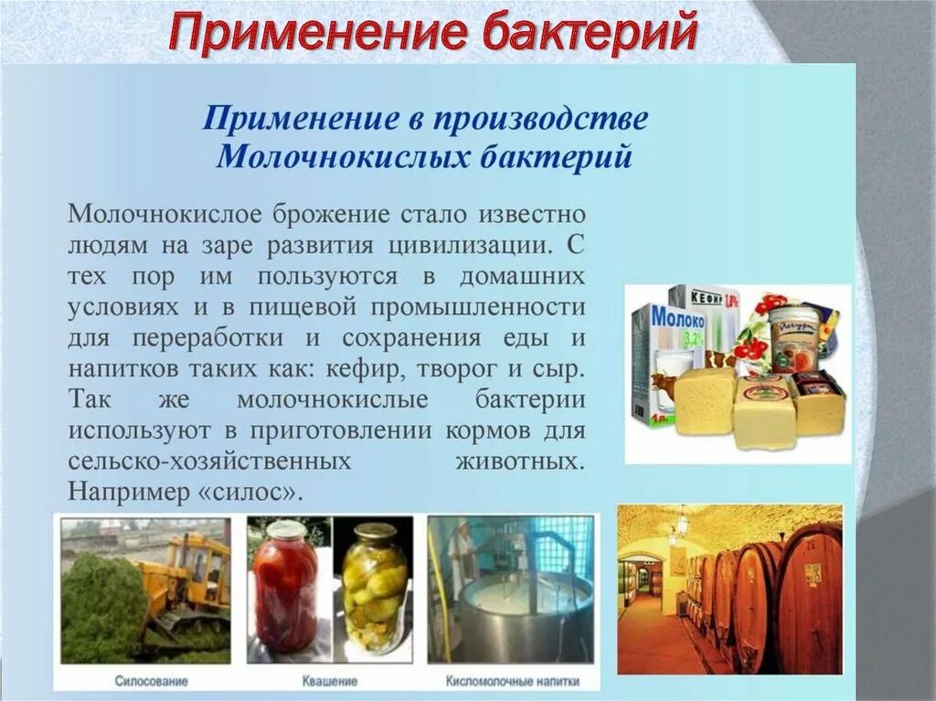 Для каких видов продукции человек использует микроорганизмы