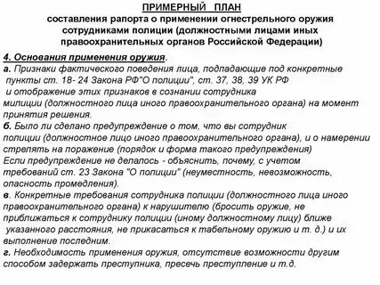 Сотруднику полиции разрешено применять специальные средства