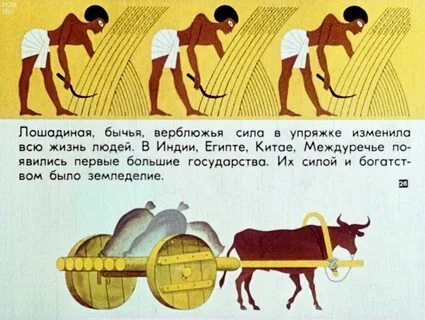 Что значат лошадиные силы в машине