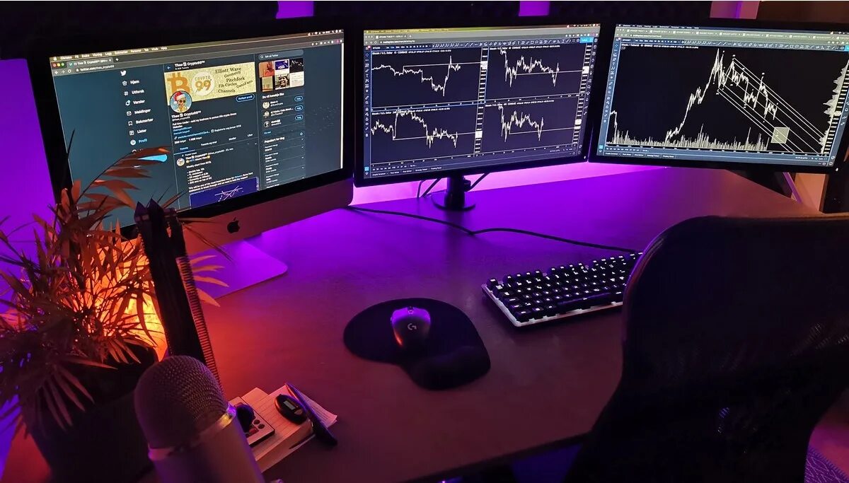 Мониторы для битов