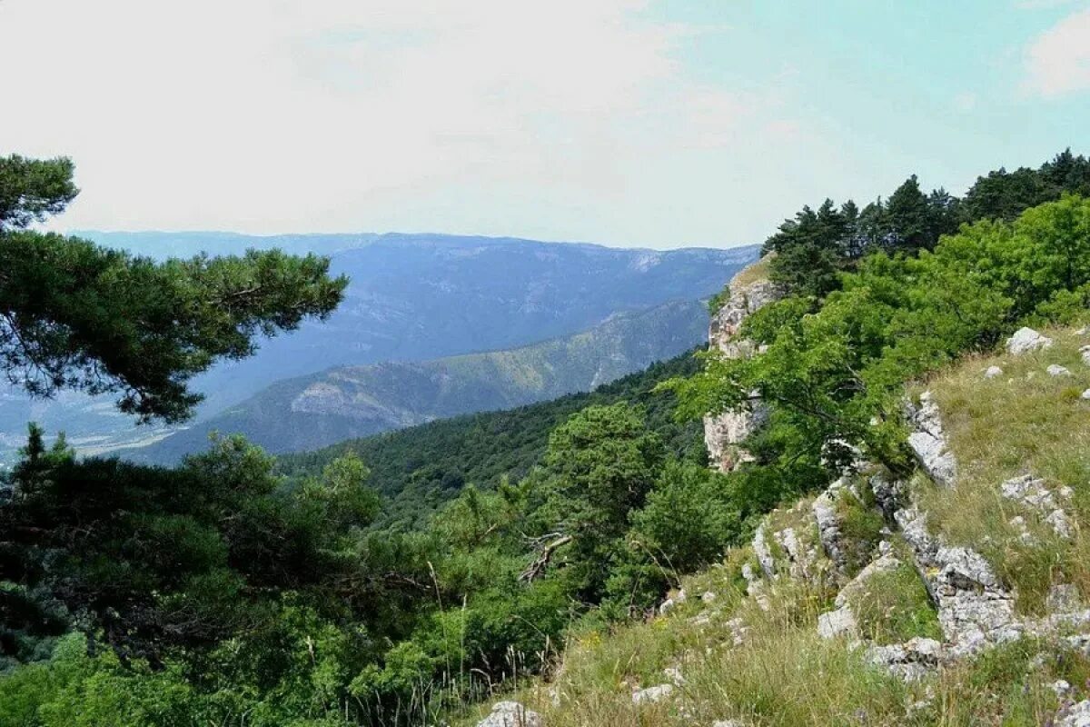 Особо охраняемые природные территории краснодарского края на карте. Особо охраняемые территории краснодарского края. Охраняемые территории краснодарского края карта. Охраняемые территории краснодарского края. Памятники природы краснодарского края сочи.