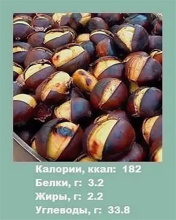 Каштан калорийность. Каштан энергетическая ценность. Турецкий каштан. Каштан калорийность. Каштан орех съедобный чем полезен.