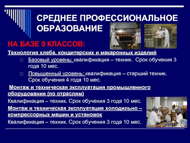 Среднее специальное и среднее профессиональное разница. Среднее профессиональное образование это. Технология хлеба кондитерских и макаронных изделий. Среднее профессиональное образование это колледж. Ср профессиональное образование это.