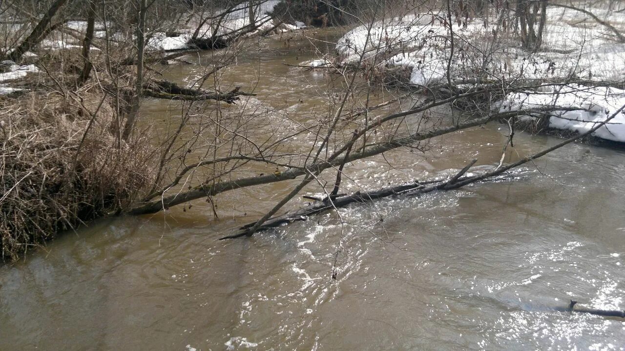 Уровень воды в мокше на сегодня. Река Беспута. Паводок реки это. Весенний разлив вод.