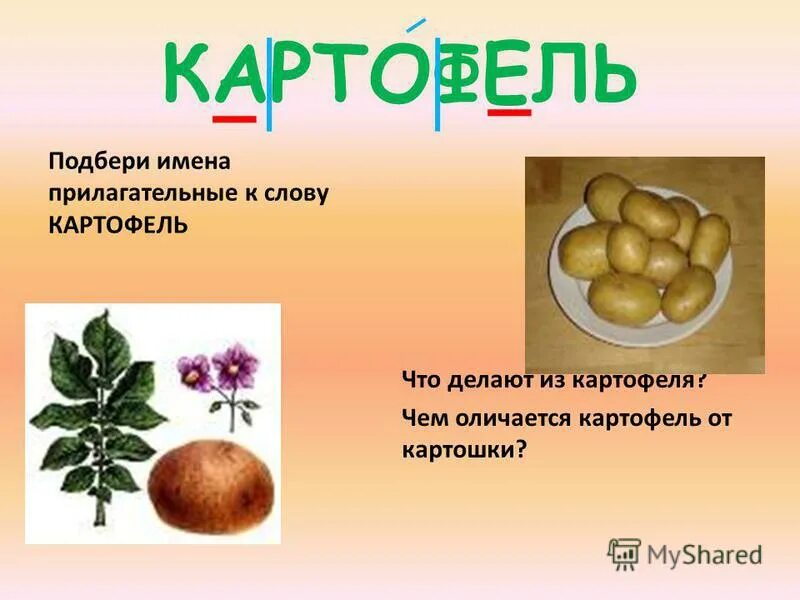 Подбери к слову картофель