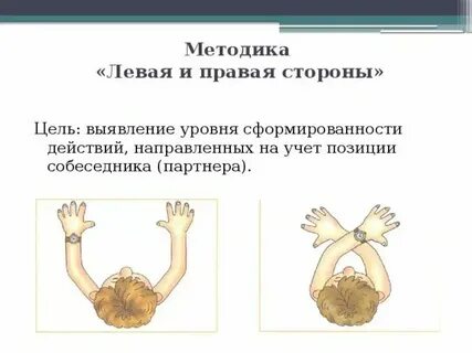 Правая сторона тела это мужская