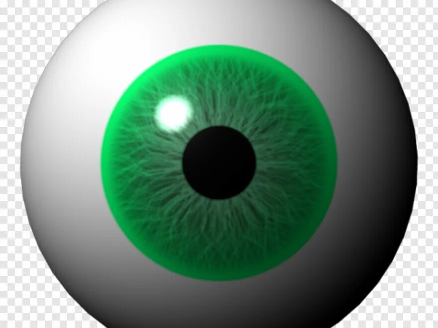 Eye 3d model