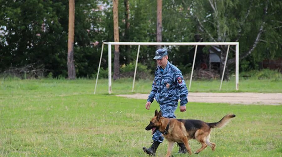 Обучение дрессировке собак. Немецкая овчарка ОКД. ОКД немецкая овчарка ФСИН. Тренировка собак ОКД. Дрессировка собаки команде рядом.