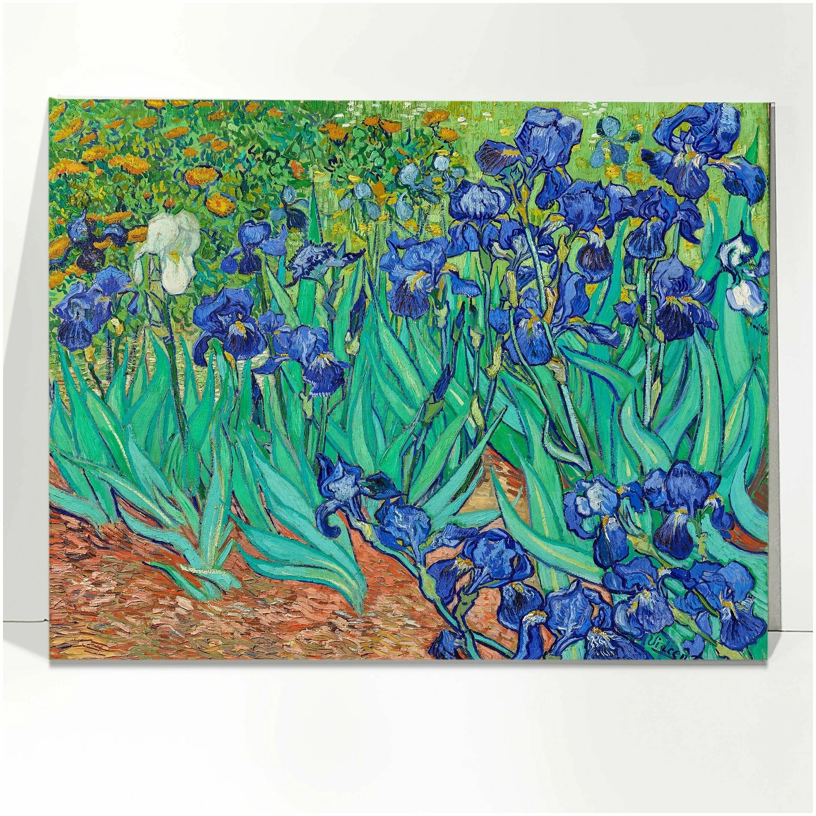 Ван гог ирисы картина подлинник. Винсент ван гог "ирисы". Ирисы, ван гог. Клод моне ван гог ирисы. Ван гог ирисы 1890.