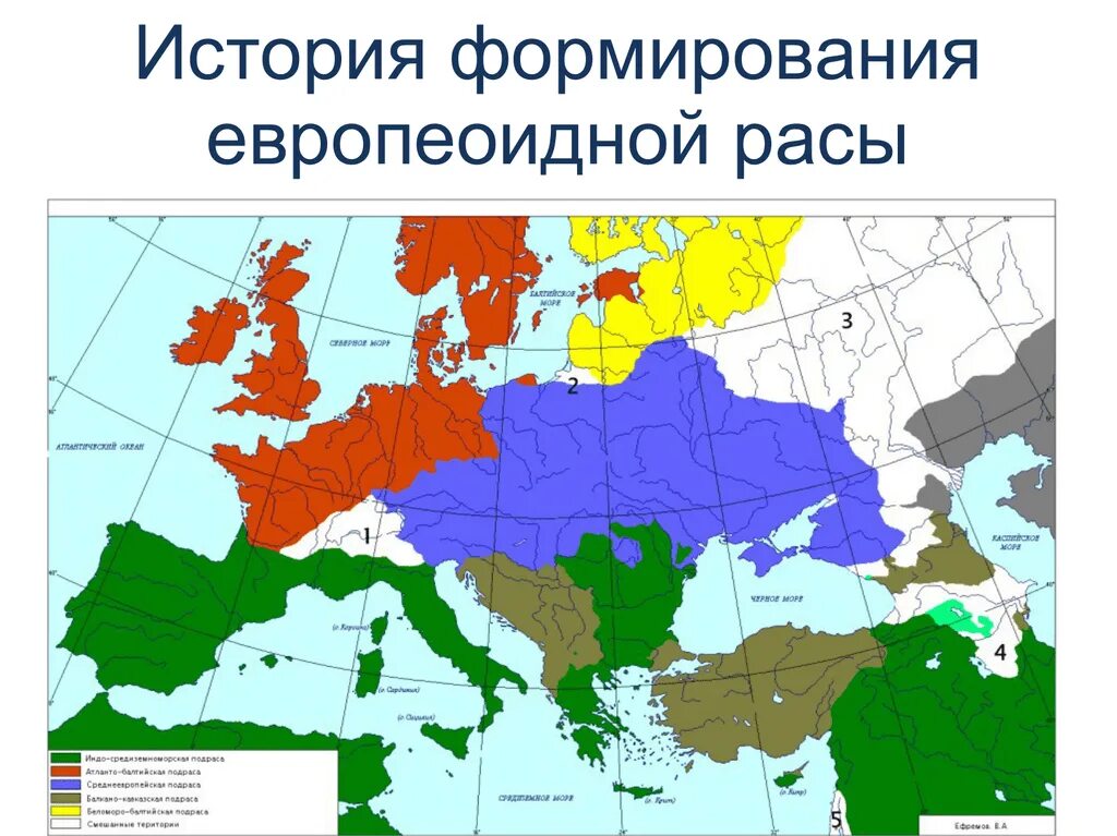 Ареалы распространения человеческих рас. Ареал обитания европеоидной расы. Европеоидная раса ареал распространения. Европеоидная раса расселение на карте. Расселение рас.